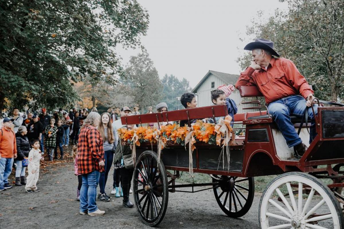Harvest Festival