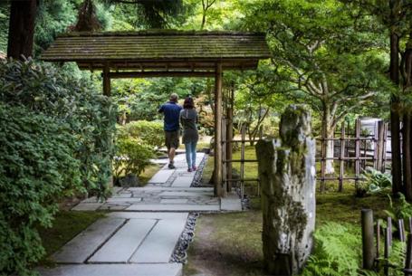 Japanese Garden