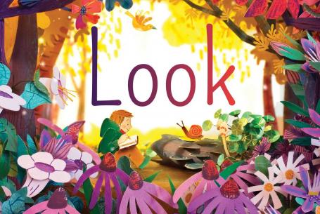 cover of book Look