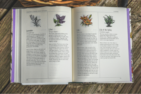 plant identification book