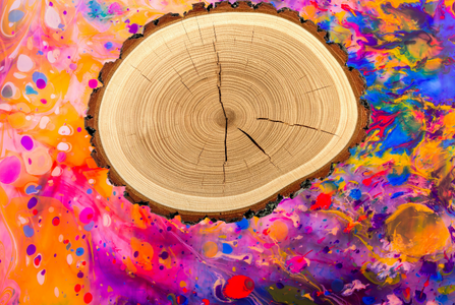 wood round on multicolored background