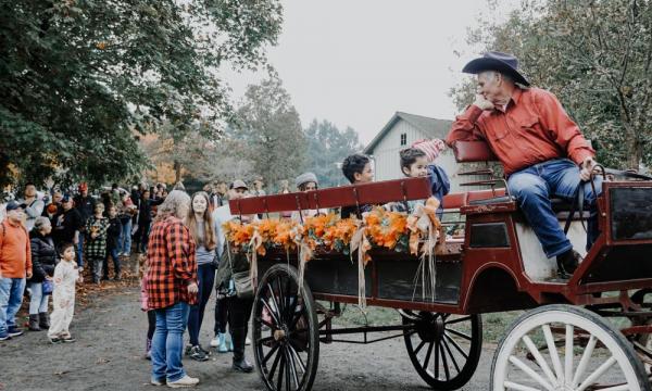 Harvest Festival