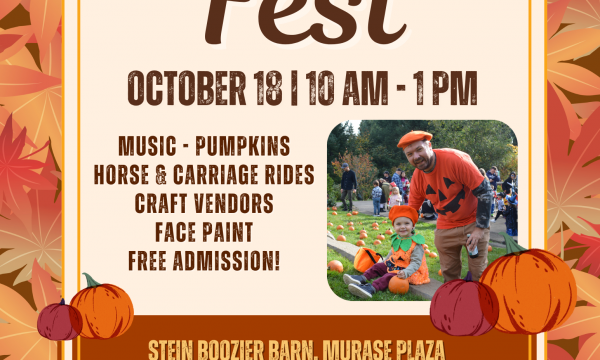 Harvest Festival 2025