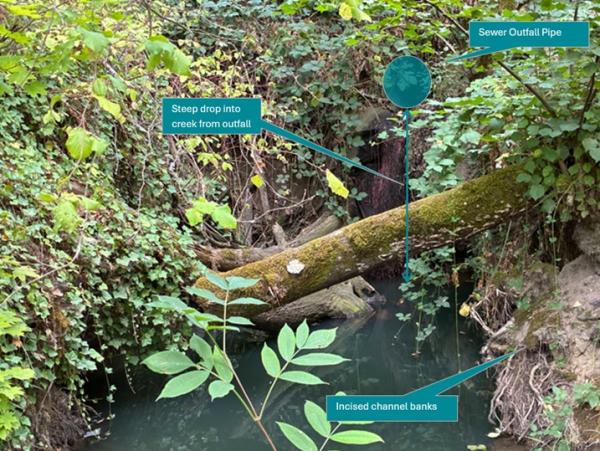 Miley Road Stormwater Improvements