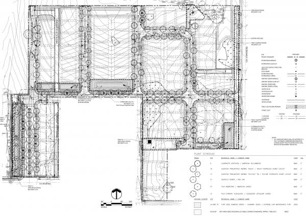 Frog Pond Meadows Site