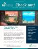 cover of February 2023 Wilsonville Public Library Newsletter