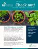 cover of May 2023 Wilsonville Public Library Newsletter