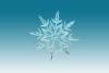 blue snowflake