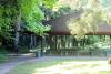 forest shelter