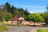 murase park with mt hood